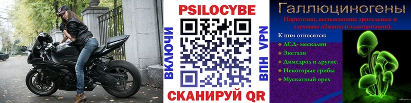 Псилоцибиновые грибы мухоморы  Дербент 