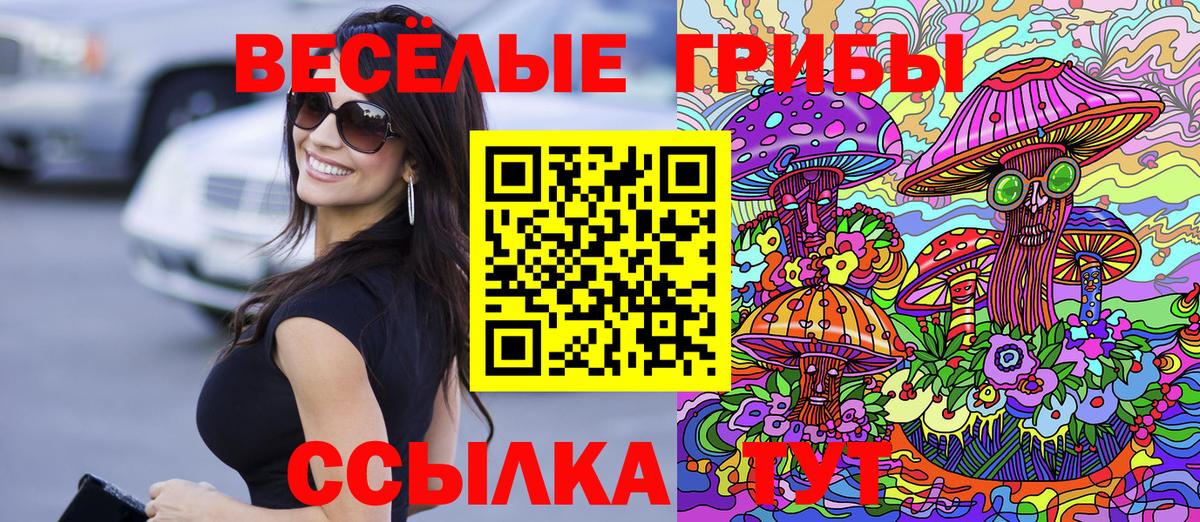 Галлюциногенные грибы Magic Shrooms Дербент